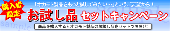 �w���҃v���[���g